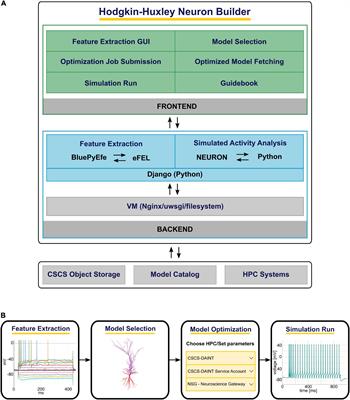 The EBRAINS Hodgkin-Huxley Neuron Builder: An online resource for building data-driven neuron models